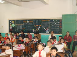 自费出国留学中介服务 如何明智选择与规避风险
